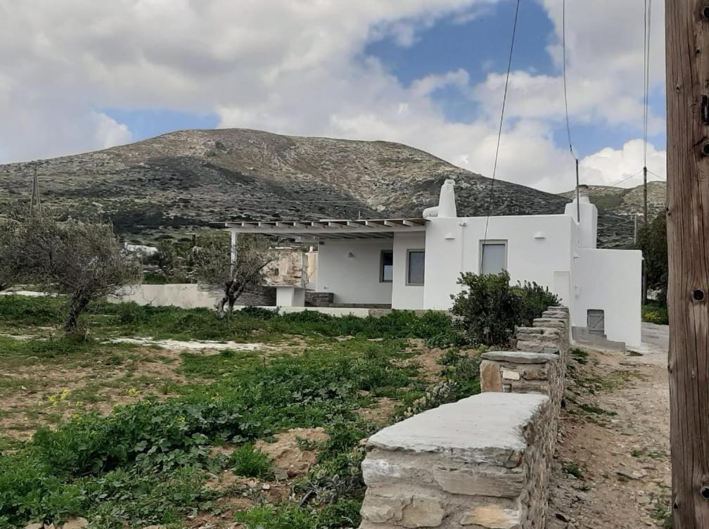 Κυκλαδίτικη Παραδοσιακή Κατοικία Chrisi Akti  Buitenkant foto